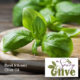 Basil Infused Olive Oil