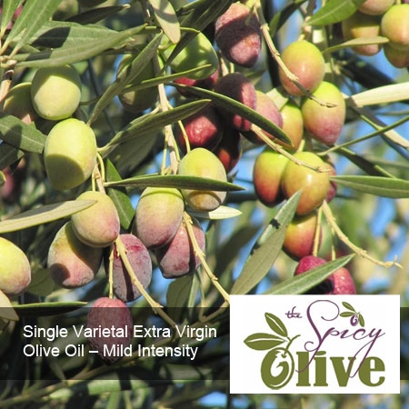 Single Varietal Extra Virgin Olive Oil – Mild Intensity