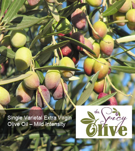 Single Varietal Extra Virgin Olive Oil – Mild Intensity