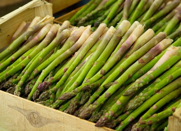 The Spicy Olive ‘s Grilled Asparagus The Spicy Olive ‘s Grilled Asparagus