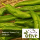 Baklouti Green Chili Olive Oil