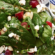 The Spicy Olive's Spinach-Grape Salad