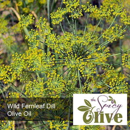 Wild Fernleaf Dill Olive Oil