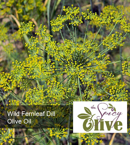 Wild Fernleaf Dill Olive Oil