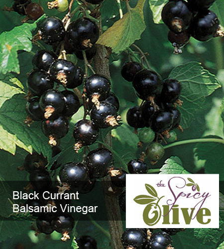 The Spicy Olive Black Currant balsamic vinegar