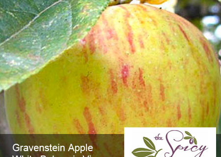 The Spicy Olive Gravenstein Apple white balsamic vinegar