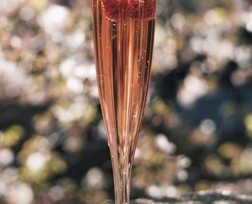 Elderflower Champagne Cocktail
