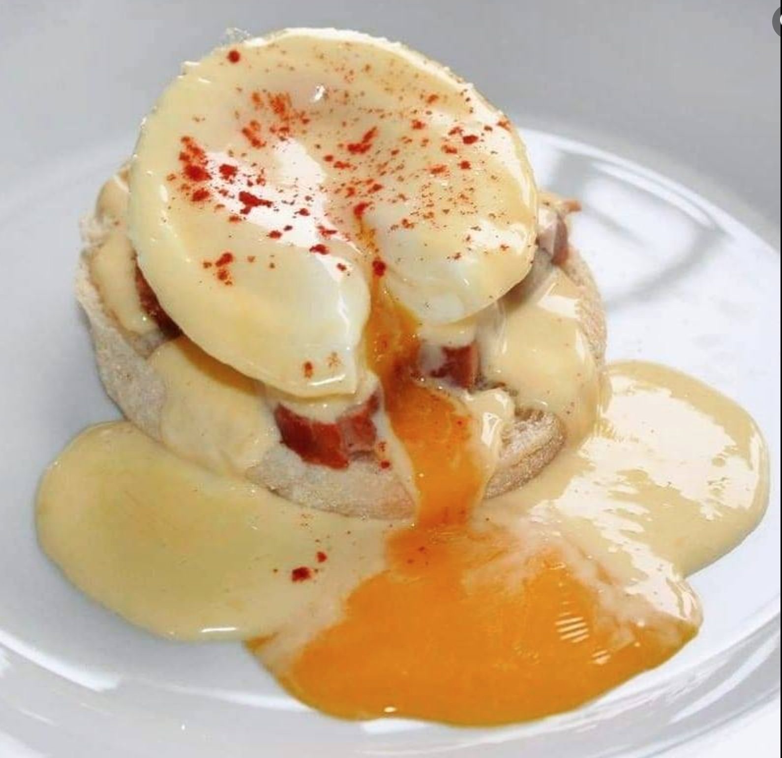 The Spicy Olive's Butter Olive Oil Hollandaise Sauce The Spicy Olive