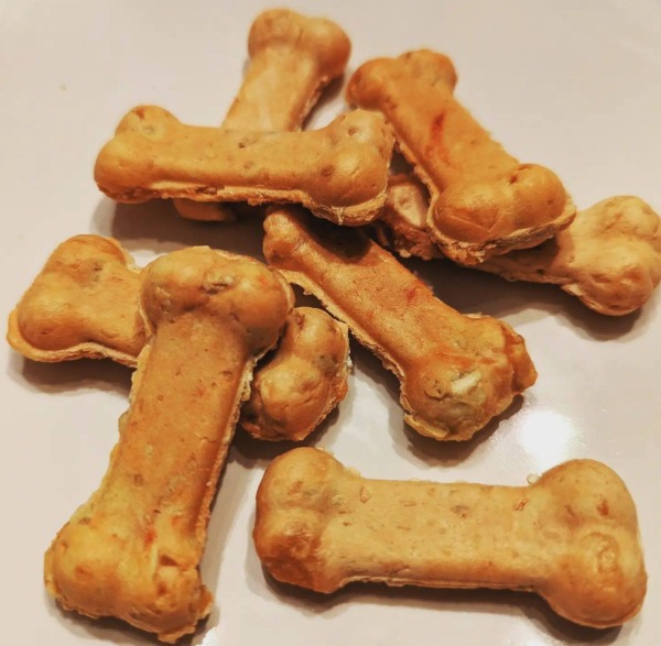 The Spicy Olive's Gluten Free Pumpkin Olive Oil Dog Treat